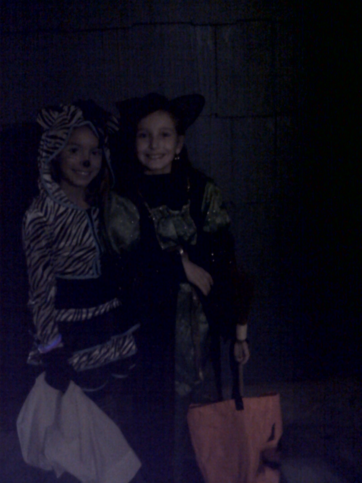 Julia and Layla-Halloween 2011.jpg